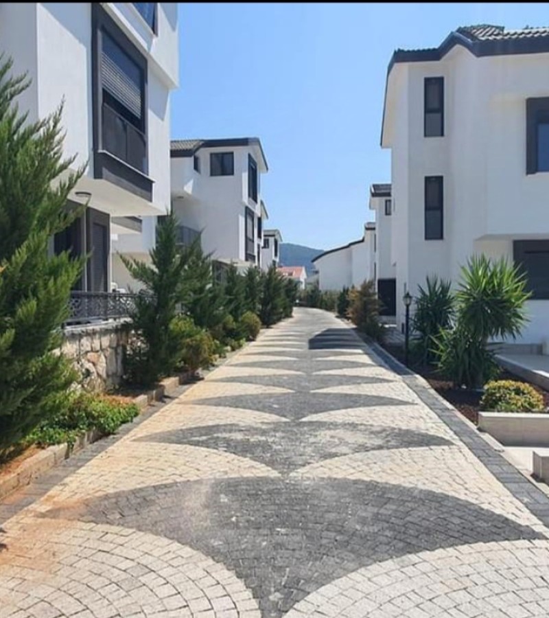 Begonit Küptaş Ekibi Antalya İzmir Konya Muğla