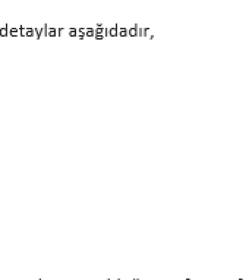 2 Adet Krom Sahası