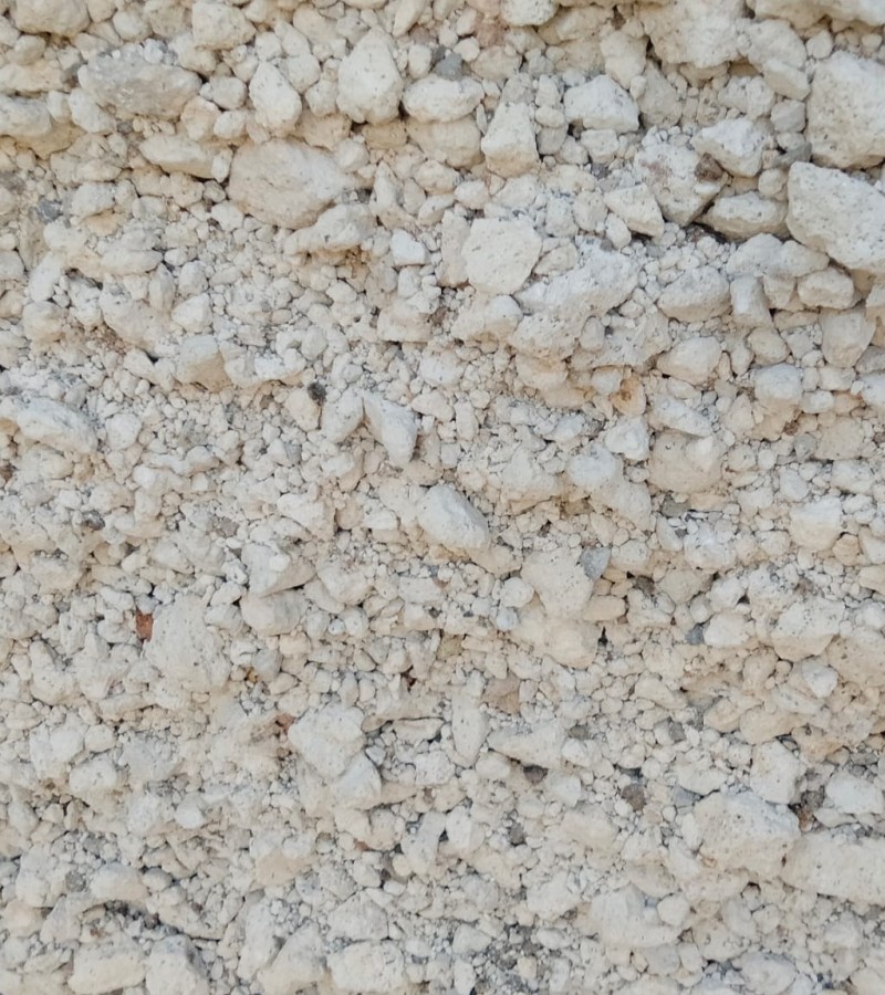 Pomza Sahasii