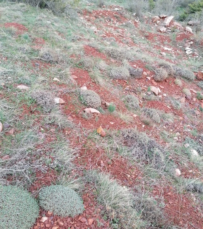 boksit sahası
